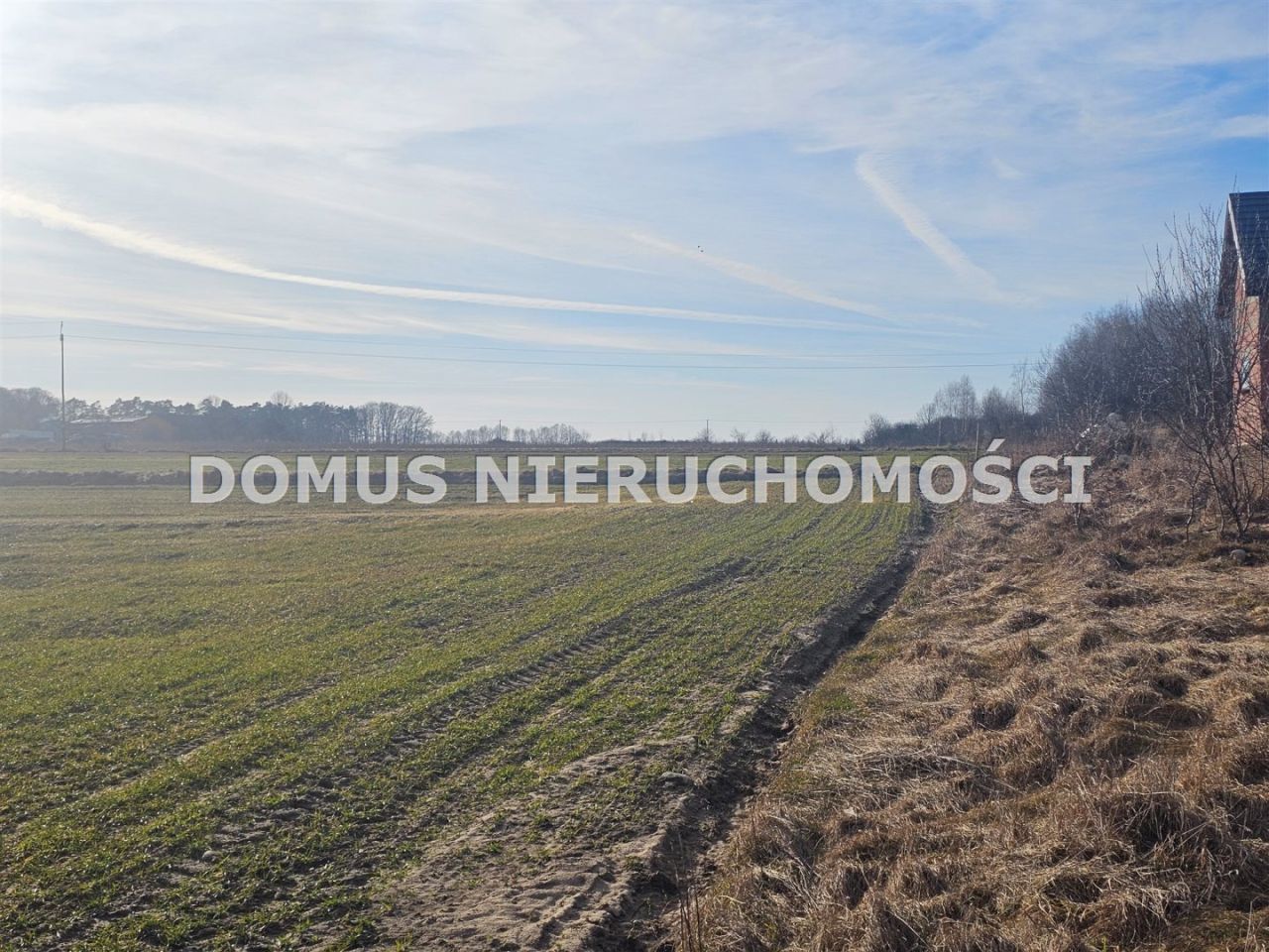 Działka Polik. Zdjęcie 5