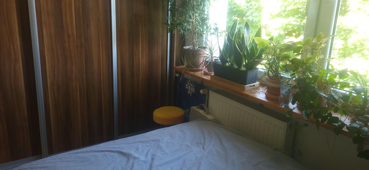 Mieszkanie 3-pokojowe Sosnowiec Bór, ul. Biała Przemsza. Zdjęcie 13