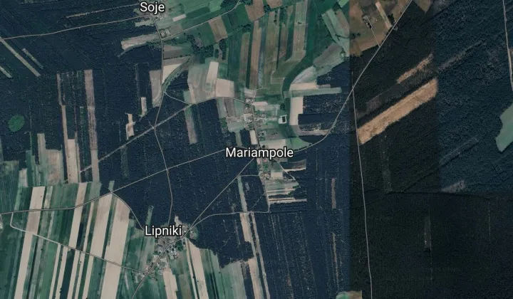 Działka leśna Mariampole