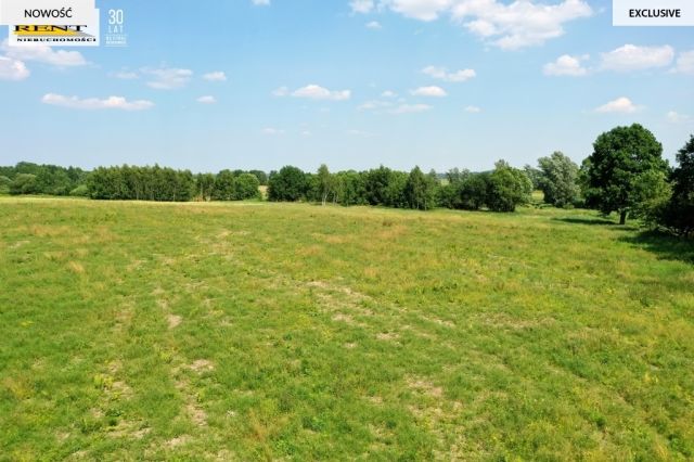 Działka budowlana Ninikowo. Zdjęcie 9