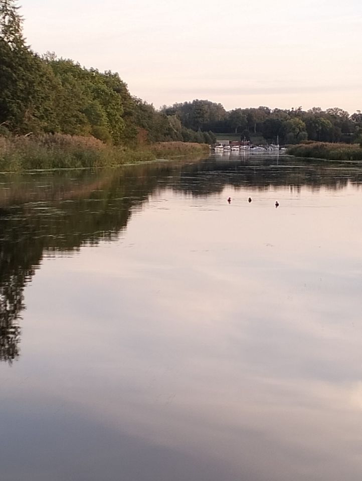 Działka rolno-budowlana Sołtyski. Zdjęcie 13