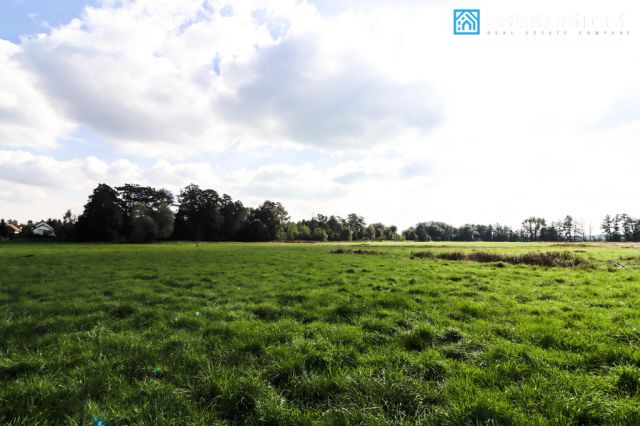Działka budowlana Cholerzyn. Zdjęcie 2