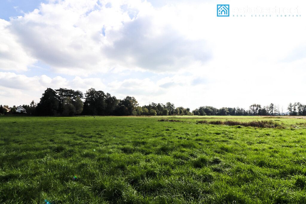 Działka budowlana Cholerzyn. Zdjęcie 2