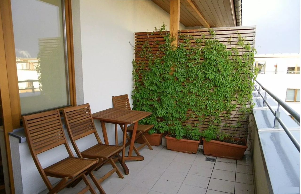 Mieszkanie 2-pokojowe Szczecin Pogodno, ul. Sebastiana Klonowica. Zdjęcie 11