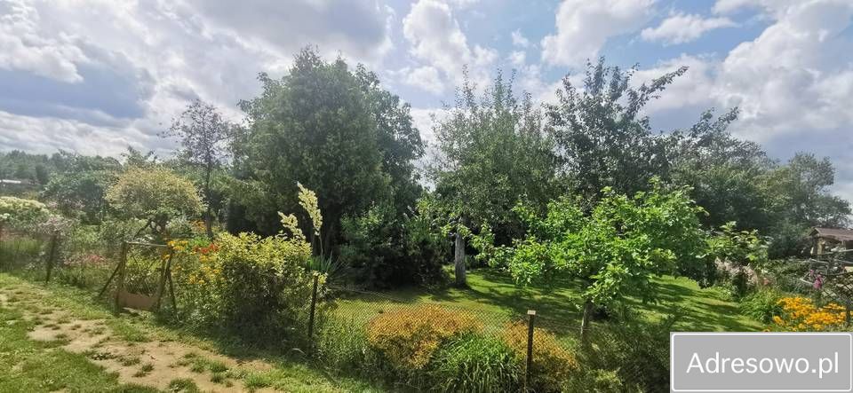 Działka rod Koszalin. Zdjęcie 3