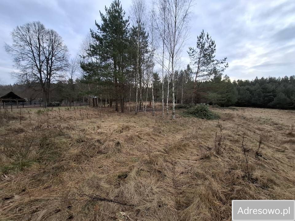 gospodarstwo Opaka Duża. Zdjęcie 8