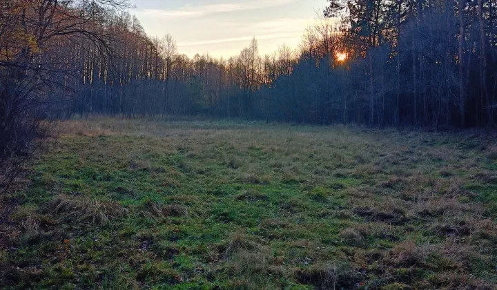 Działka rolna Strzyżewice