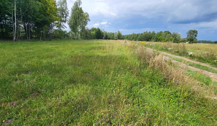 Działka budowlana Budy Ciepielińskie