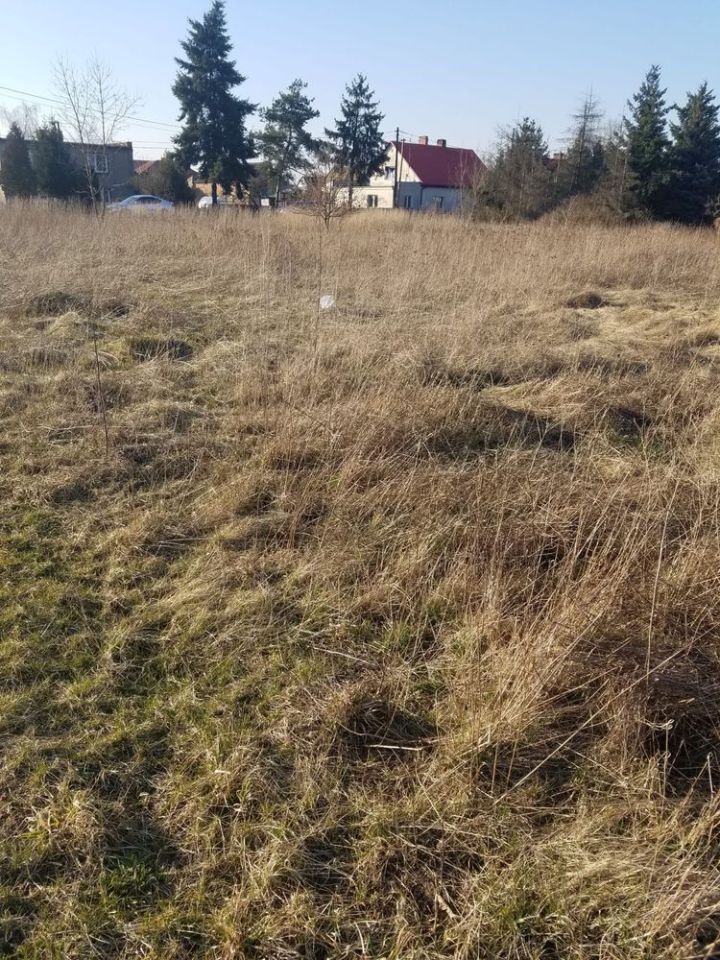 Działka budowlana Karnin. Zdjęcie 2