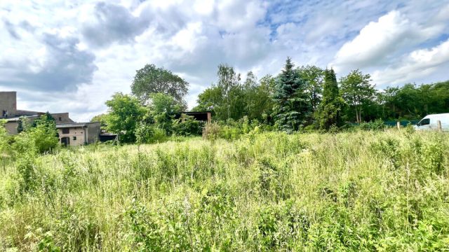 Działka budowlana Osieczna. Zdjęcie 6