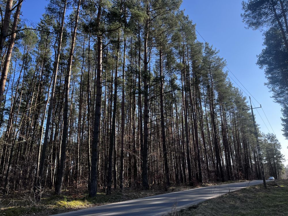Działka inwestycyjna Maszkowo. Zdjęcie 6