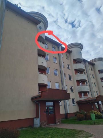 Mieszkanie 2-pokojowe Biała Podlaska, ul. Zygmunta Starego. Zdjęcie 1