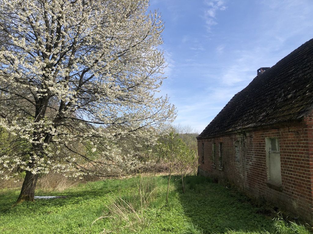 Działka siedliskowa Wierzchówko. Zdjęcie 9