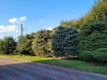 siedlisko Krasnystaw. Zdjęcie 3