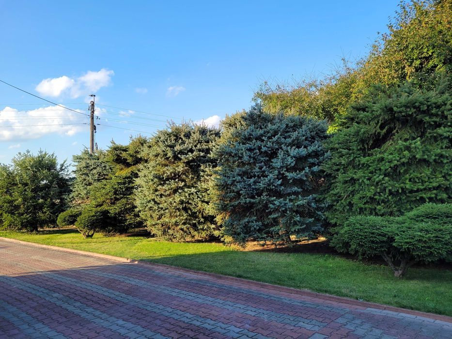 siedlisko Krasnystaw. Zdjęcie 4