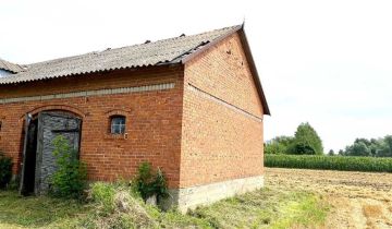 Działka siedliskowa Mierzeniec