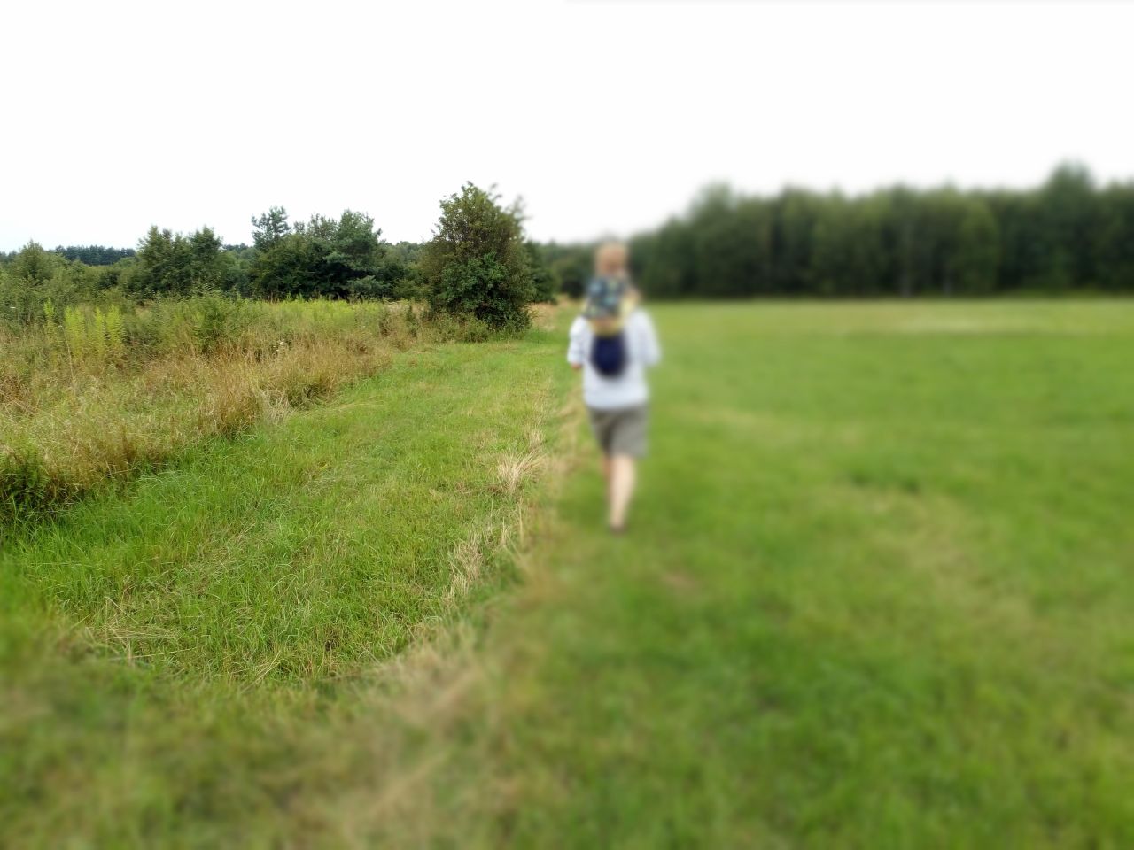 Działka rekreacyjna Władzin. Zdjęcie 3