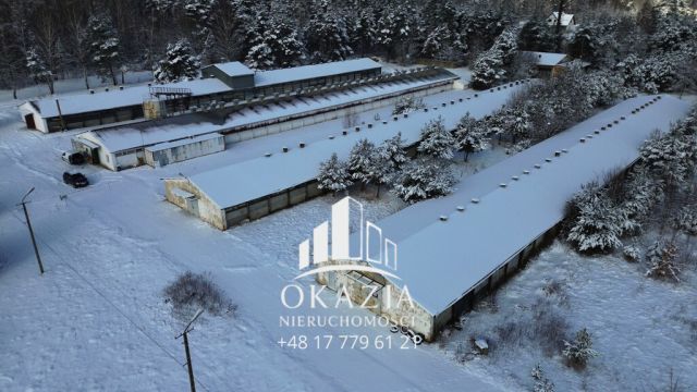 Działka inwestycyjna Wysoka Głogowska. Zdjęcie 6