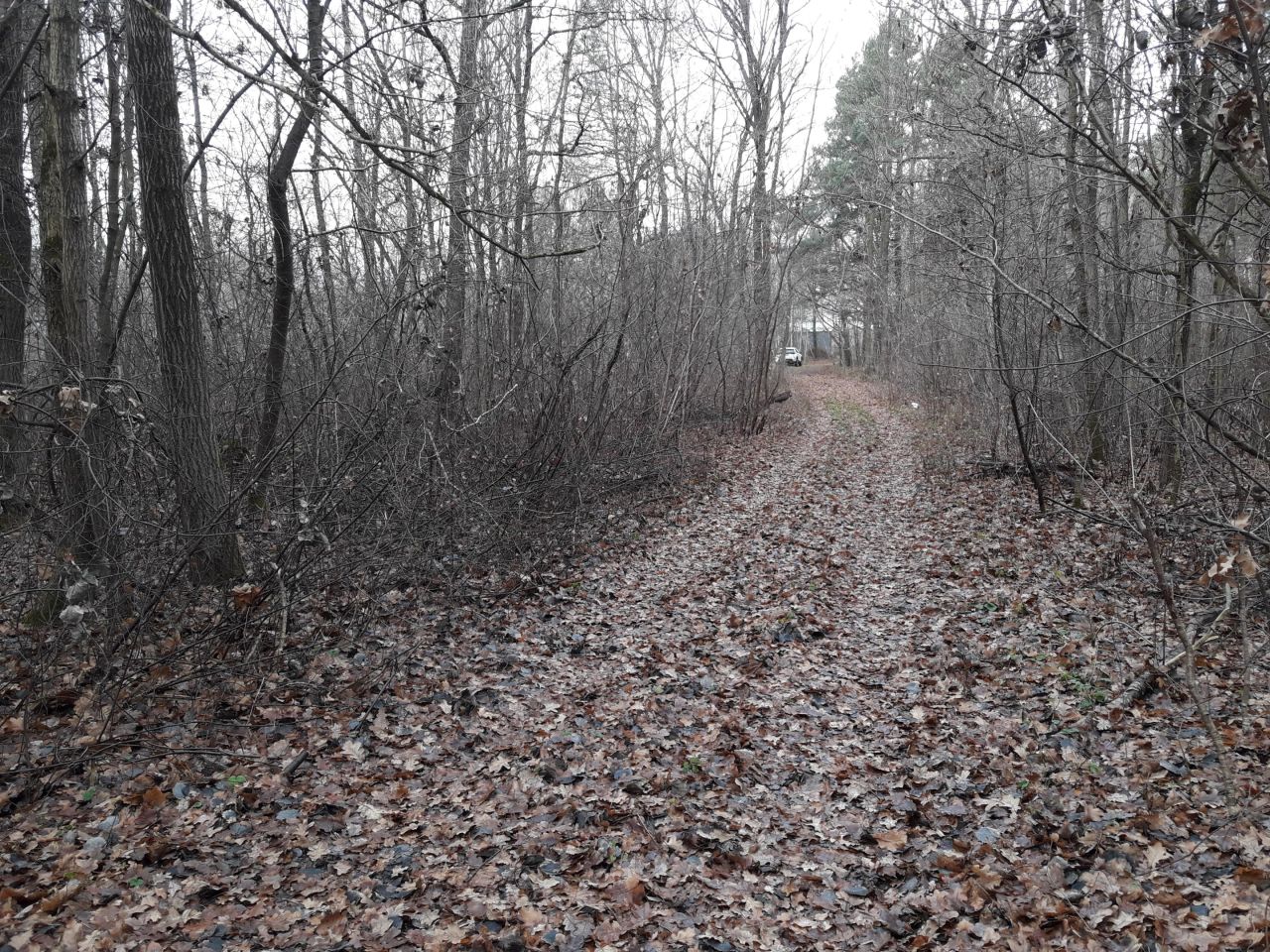 Działka inna Stare Załucze. Zdjęcie 6