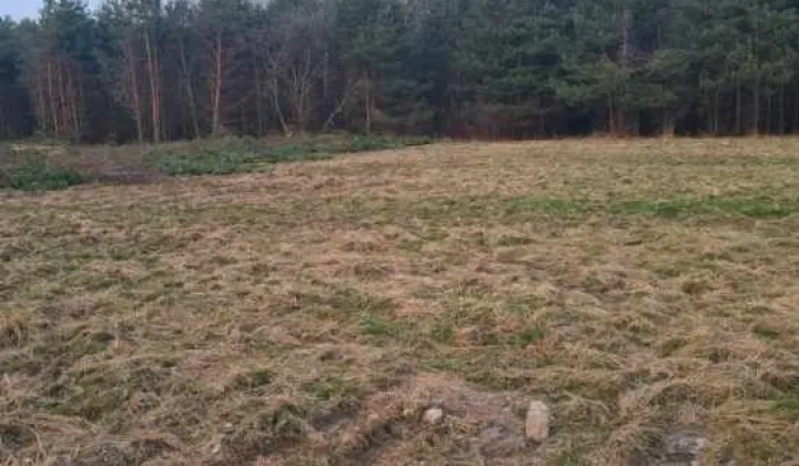 Działka budowlana Rabinówka