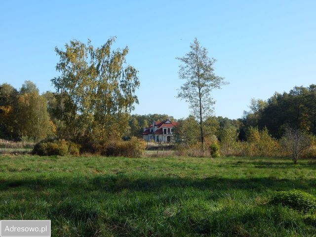 Działka siedliskowa Grzegorzewice. Zdjęcie 1