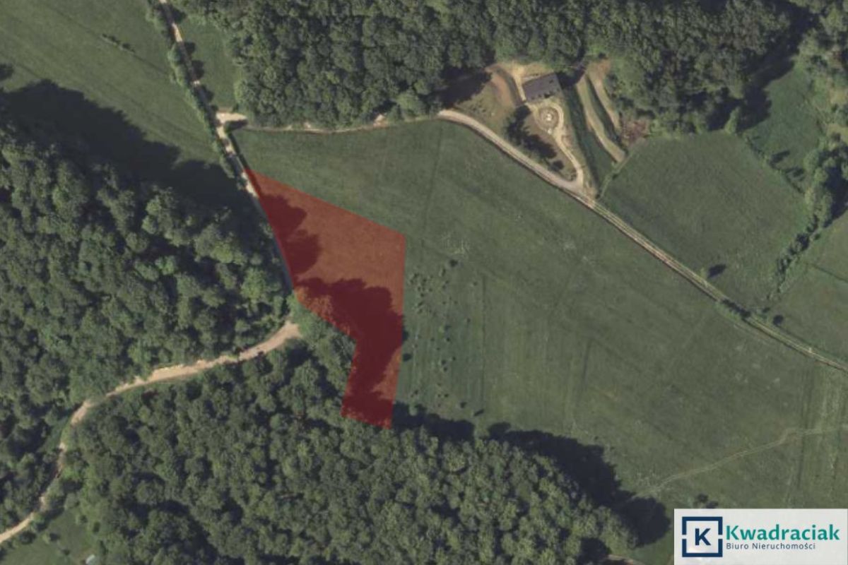 Działka siedliskowa Myczków. Zdjęcie 9