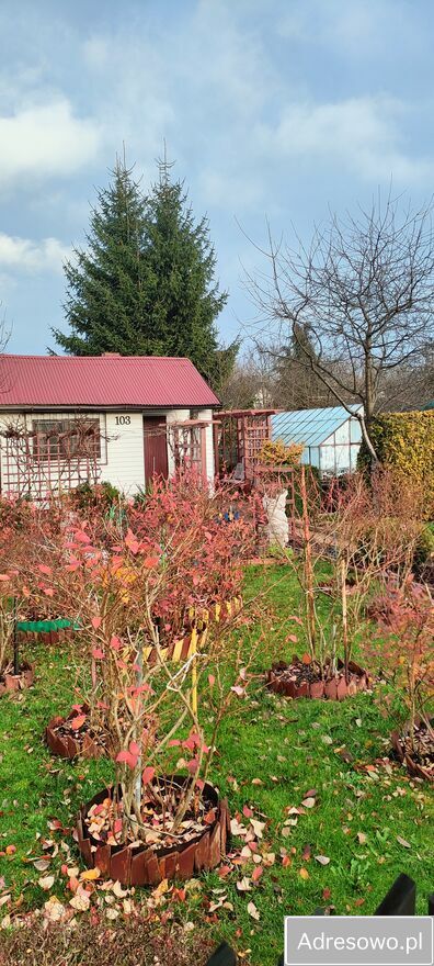 Działka rekreacyjna Skarżysko-Kamienna, ul. Piękna. Zdjęcie 5