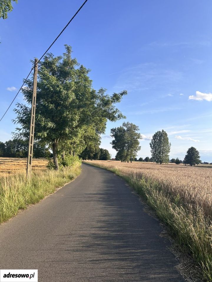 Działka budowlana Dębina. Zdjęcie 8