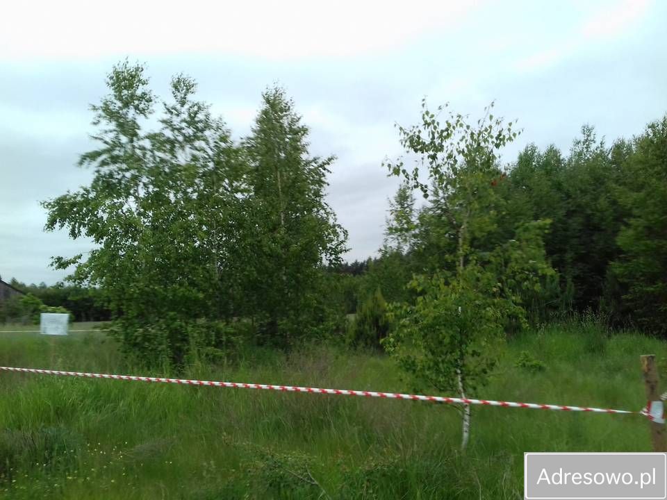 Działka rolno-budowlana Węgrzynówek. Zdjęcie 8