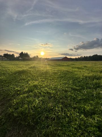 Działka inwestycyjna Jedlicze, ul. Obrońców Wolności. Zdjęcie 1