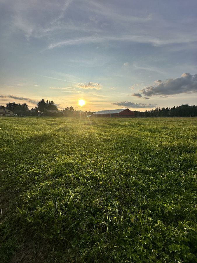 Działka inwestycyjna Jedlicze, ul. Obrońców Wolności