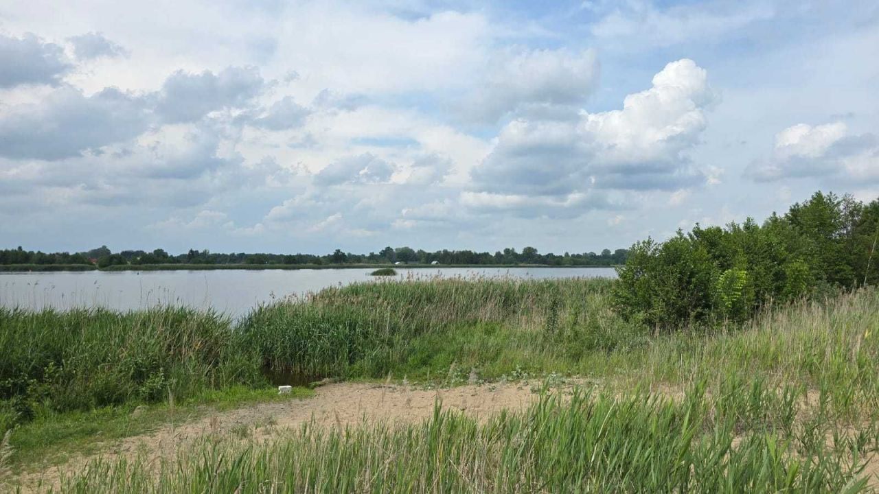 Działka budowlana Arciechów. Zdjęcie 8