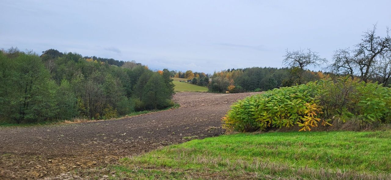 siedlisko Półwieś. Zdjęcie 4