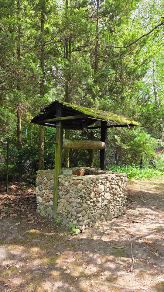 Działka rekreacyjna Grabniak. Zdjęcie 6