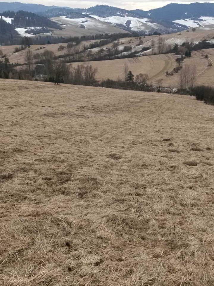 Działka rolna Sromowce Niżne. Zdjęcie 8