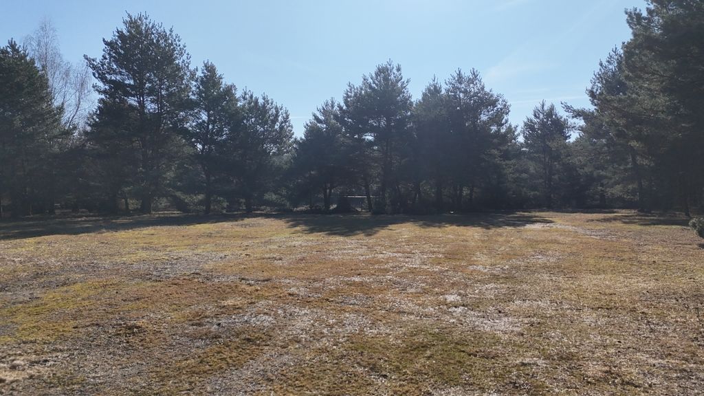 Działka rekreacyjna Kalisz. Zdjęcie 29