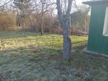 Działka rod Bielawa. Zdjęcie 2