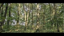 Działka budowlana Kiełki. Zdjęcie 3