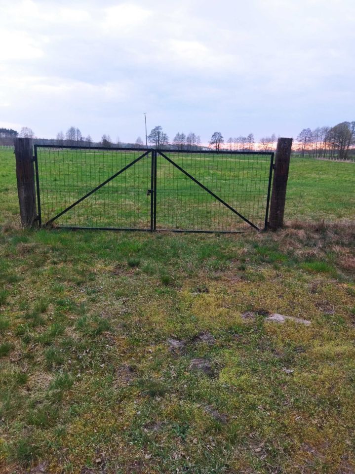 Działka rolna Stary Widzim. Zdjęcie 8