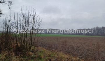 Działka rolna Więzowno