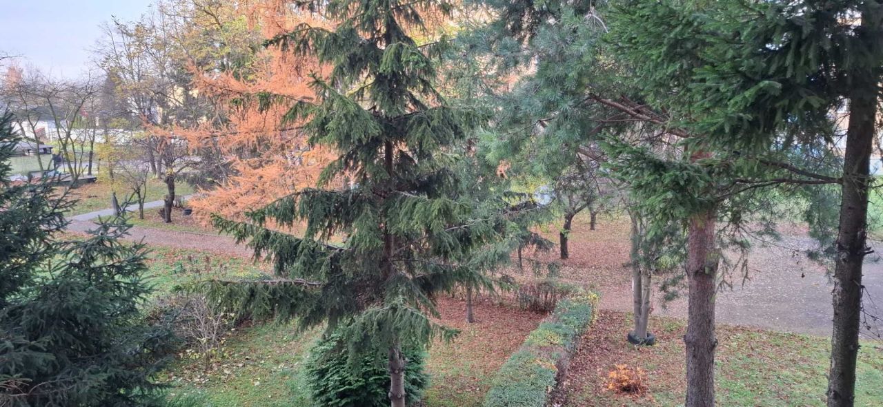 Mieszkanie 3-pokojowe Sosnowiec Zagórze, ul. Zielonogórska. Zdjęcie 7