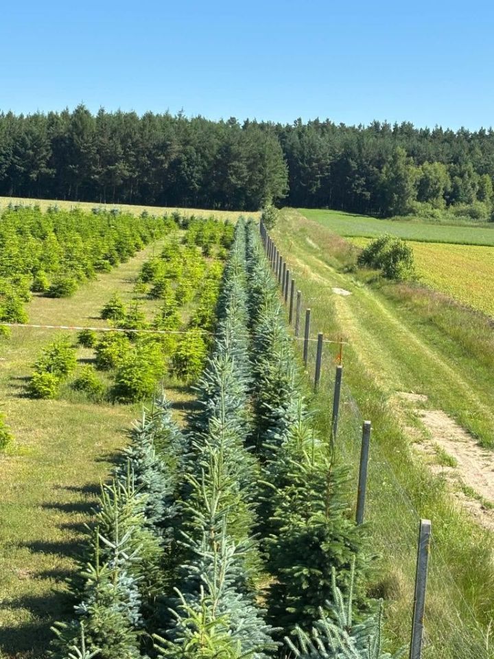 Działka budowlana Sadkowo. Zdjęcie 4