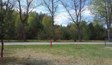 Działka leśna Połoń