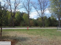 Działka leśna Połoń. Zdjęcie 1