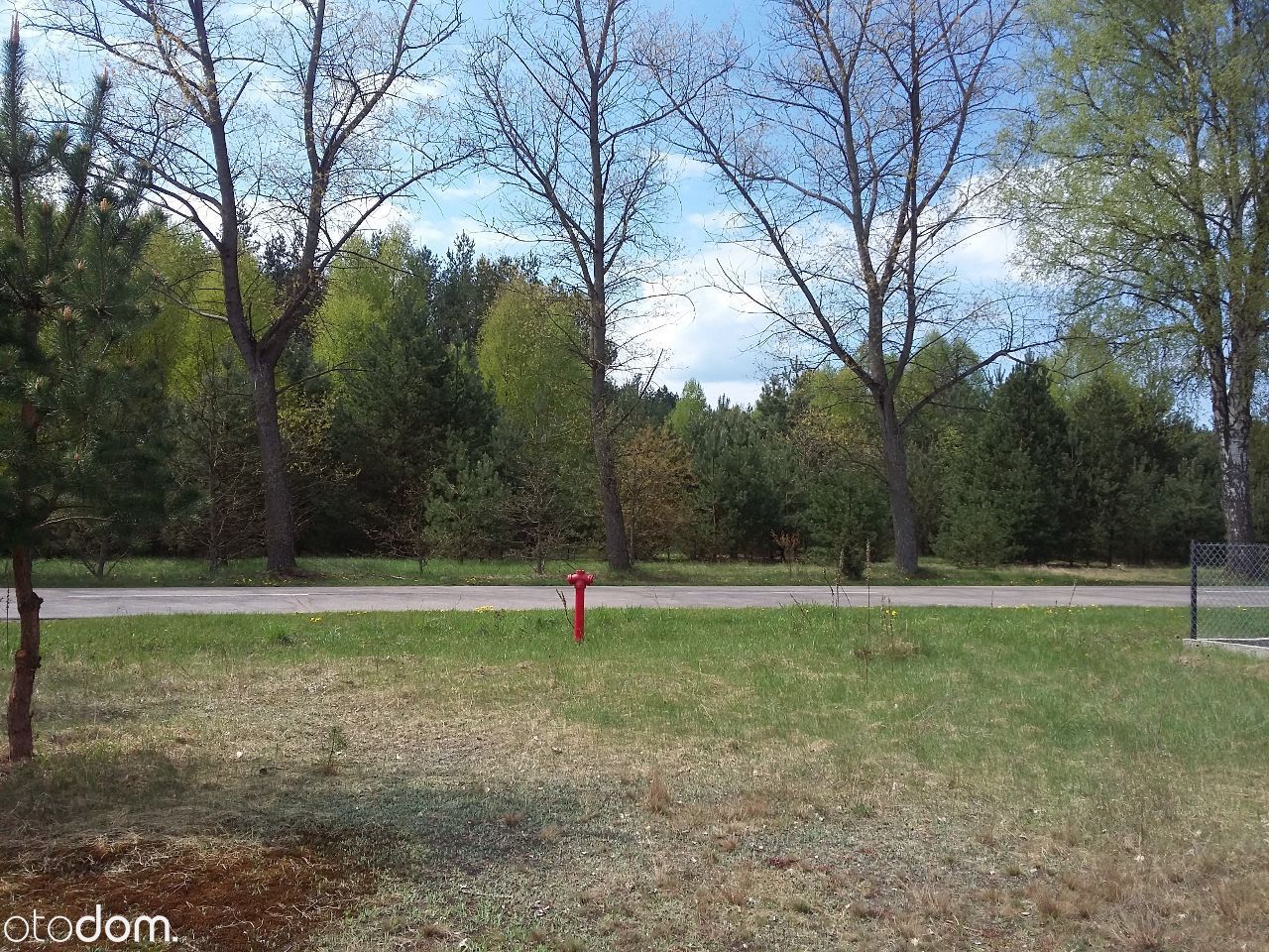 Działka leśna Połoń. Zdjęcie 2