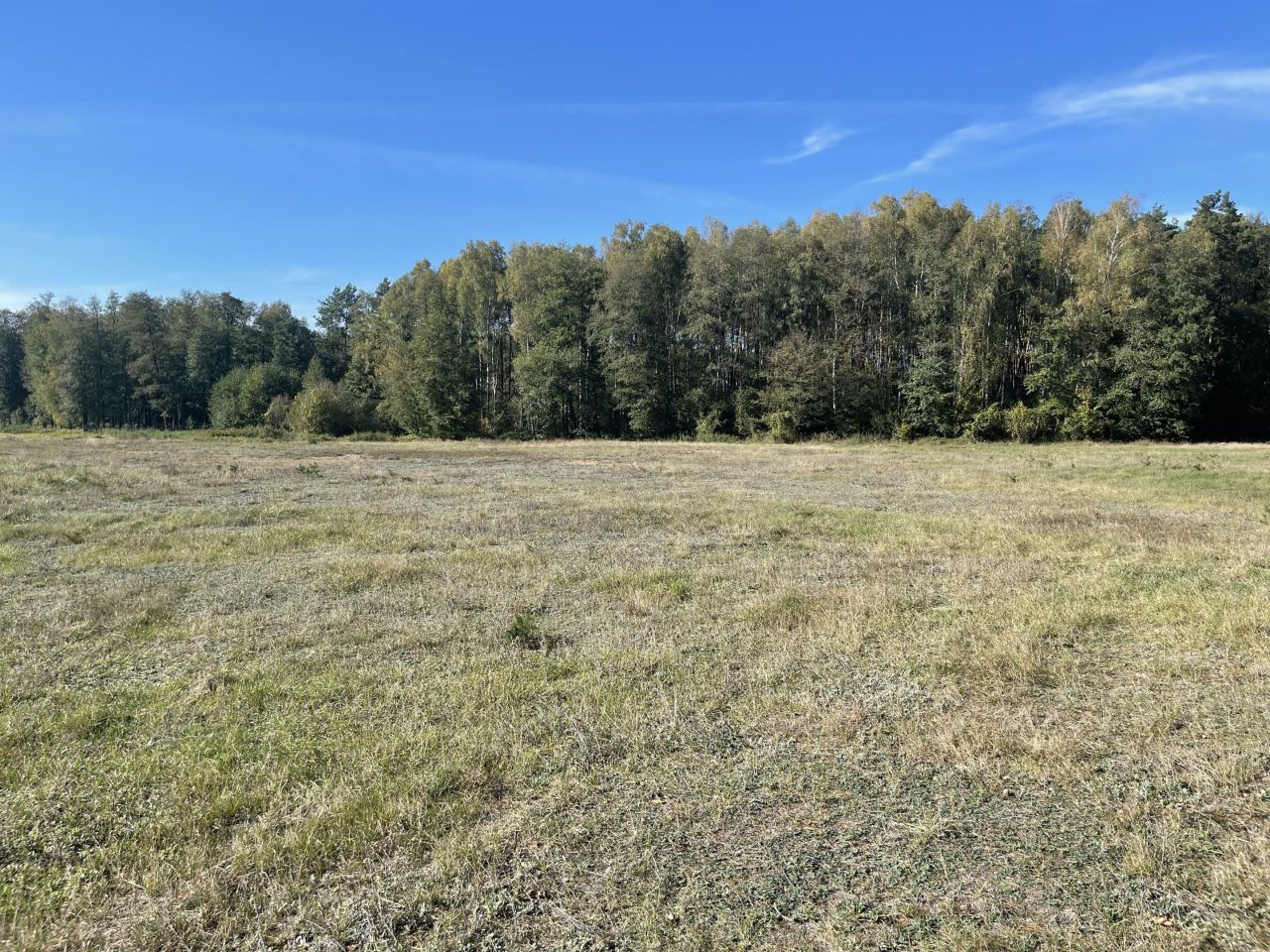 Działka rolna Jedlina. Zdjęcie 13