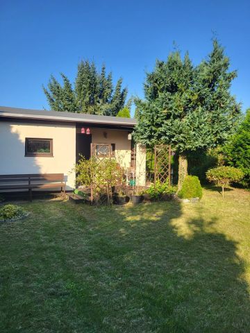 Działka rekreacyjna Koninko. Zdjęcie 1