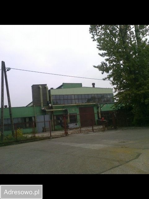 Hala/magazyn Osięciny, ul. Traugutta. Zdjęcie 13