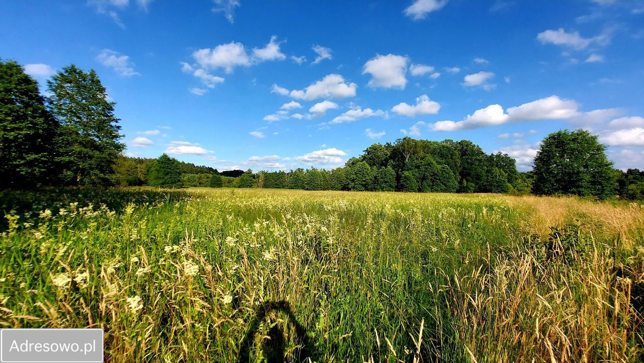 Działka rolna Smorawina. Zdjęcie 16