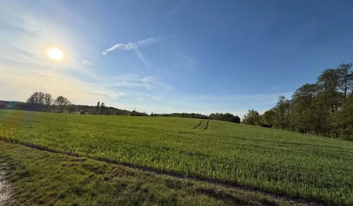 Działka rolna Sompolno